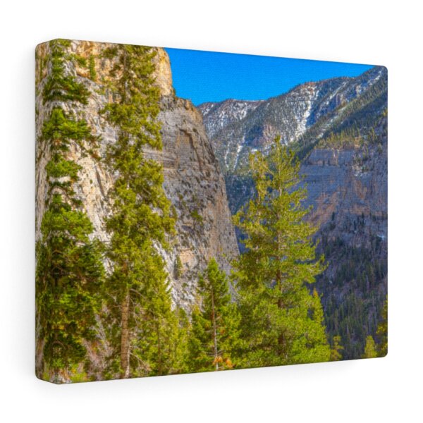 Canvas Gallery Wraps - Image 3