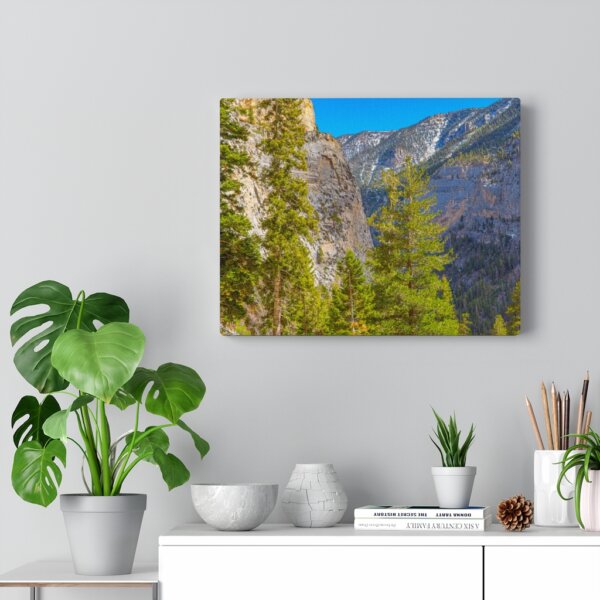 Canvas Gallery Wraps - Image 2